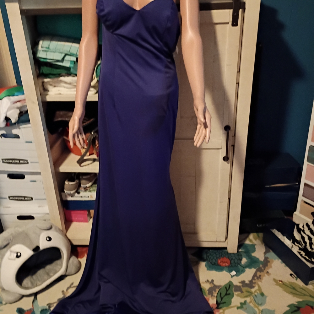 Bridess Sleek Royal Blue Evening Gown Weighted Train